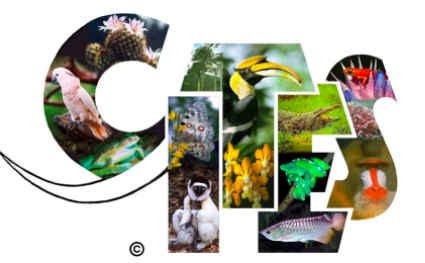 Convention on International Trade in Endangered Species