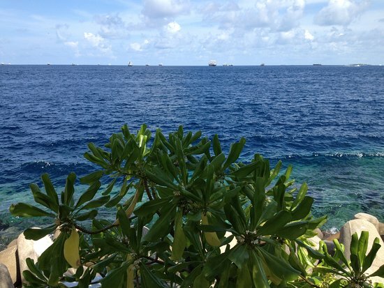 Maldives Originals and Atoll Marine Center