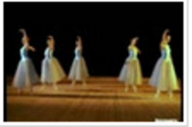 Attended the Nutcracker Ballet