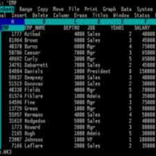 Aparece la planilla de cálculos LOTUS
