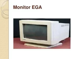MONITORES EGA