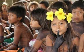 Declaración universal de los derechos de los pueblos indígenas