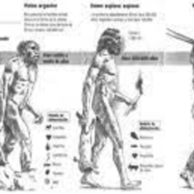 Timeline: La alimentación a través del tiempo
