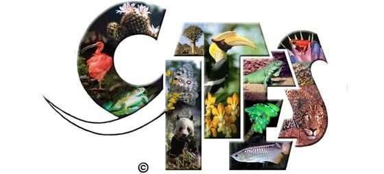 Convention on International Trade in Endangered Species