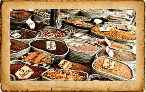 Descubrimiento de las especias