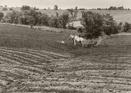Dust Storms and Drought continue