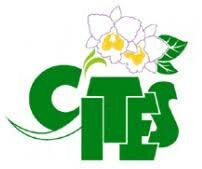 Convention on International Trade in Endangered Species