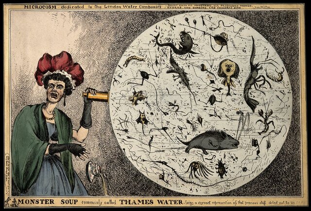 A woman dropping her teacup in horror upon discovering the monstrous contents of a magnified drop of thames water revealing the impurity of London drinking water