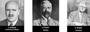 Ronald A. Fisher (1890- 1962), John B. S. Haldane (1892-1964) y Sewall Wright (1889- 1988)