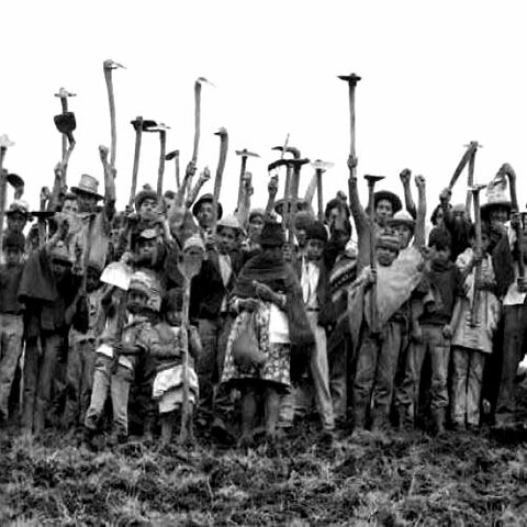 Política Agraria - político