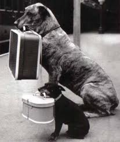 +8 Quand mon pere a demenage a Saint Jean!