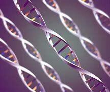 12th class science class