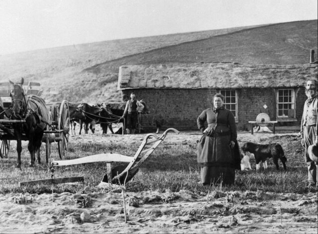 The homestead act