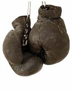 Teddy's exercise equipment