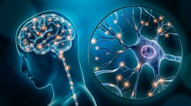 Timeline: Neuropsicología linea de tiempo