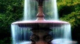 Timeline: LILLEA'S TIMELINE