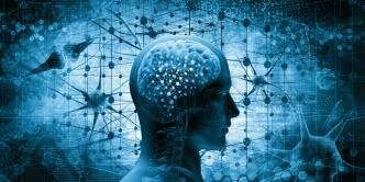 Neuropsicología dinámica ( 1980)