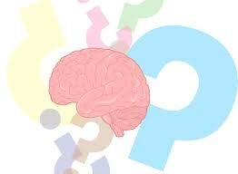 Estudio de las relaciones del cerebro