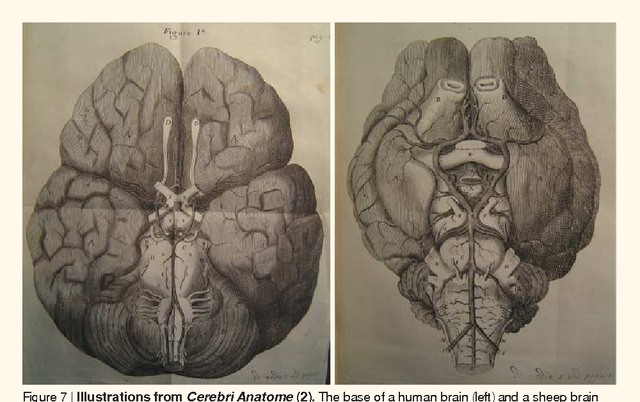 1675 – Thomas Willis, Pionero de las neurociencias (1621 – 1675)