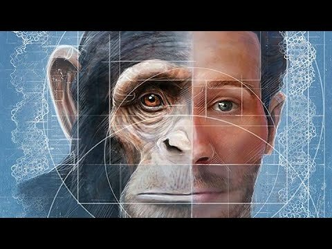 1867 – Pierre Flourens, teoría del campo agregado