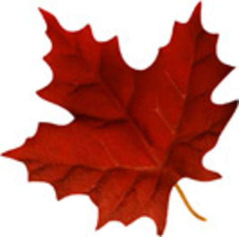 Canadian Citizenship Act