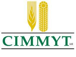 1943 - (CIMMYT)