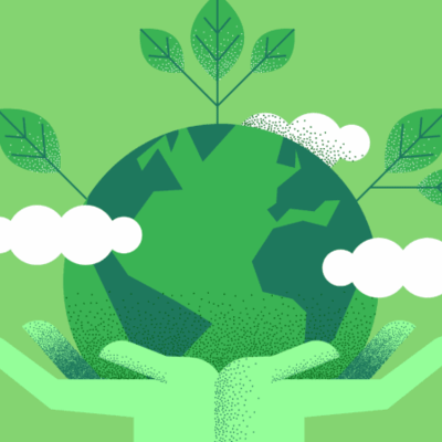 Timeline: Eeducación ambiental