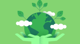 Timeline: Eeducación ambiental