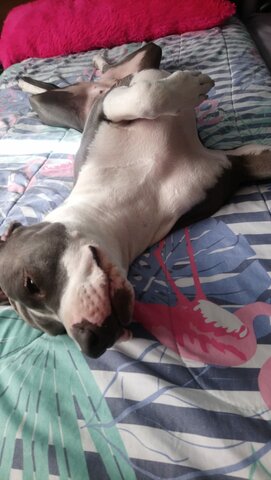 LLEGA EL AMOR DE MI VIDA