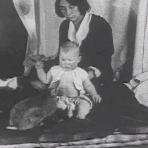 "El pequeño Albert"