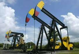 CONTRATO CRAVO NORTE