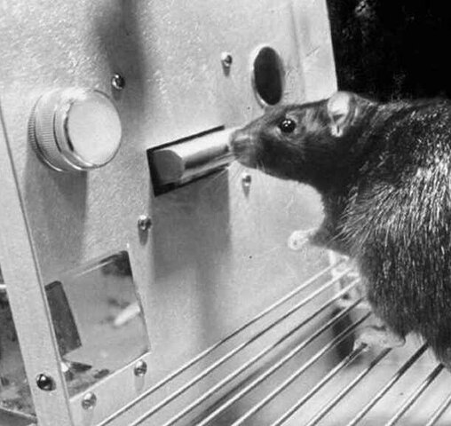 Teoría del "Condicionamiento operante"