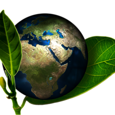 Timeline: Linea del tiempo Desarrollo Sostenible