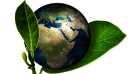 Timeline: Linea del tiempo Desarrollo Sostenible