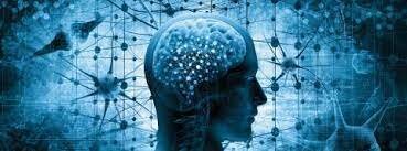 El término Neuropsicología