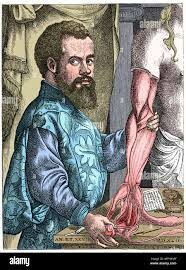 Andres Vesalio