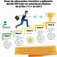 RESOLUCION 0312 DE 2019(COLOMBIA)