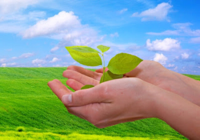 Es promulgada la Ley de Desarrollo Sustentable (LDRS)