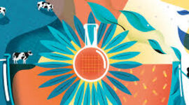 Timeline: Evolución de la Toxicología