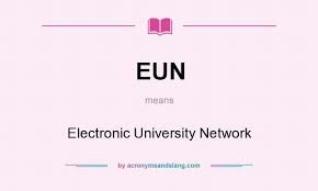 The Elecronic University Network