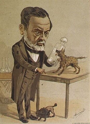 Pasteur discovers the rabies vaccine