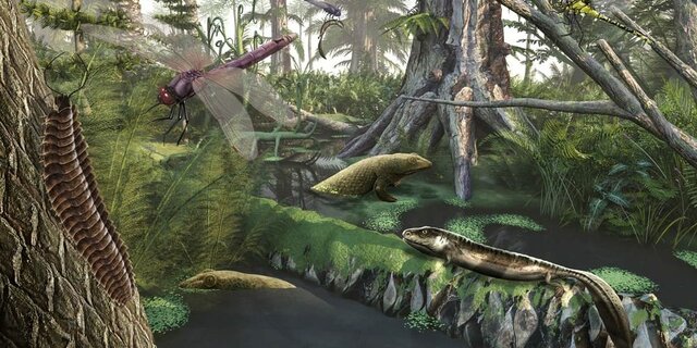 CARBONIFERO