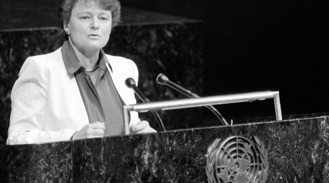 Informe Brundtland