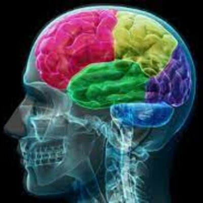 Timeline: La neuropsicología en el tiempo