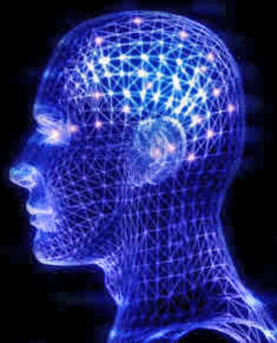 Allison, McCarthy, & Colleagues Conduct Intracranial Research at Yale