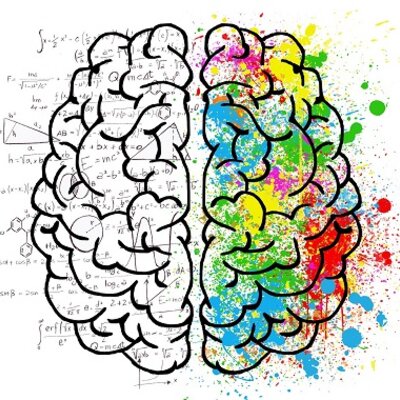 Timeline: Línea del tiempo del neurodesarrollo
