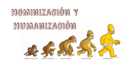 Timeline: Hominizacion y humanizacion