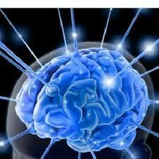 1995 Neuropsicología dinámica