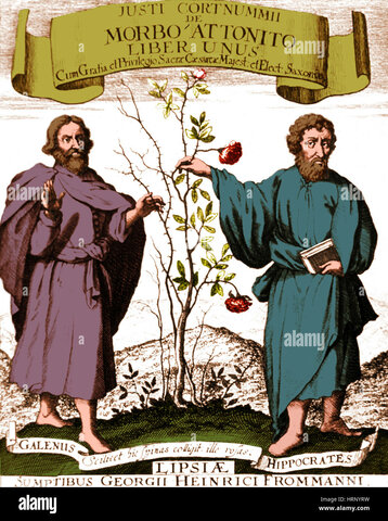 SIGLO II - GALENO Y HIPOCRATES