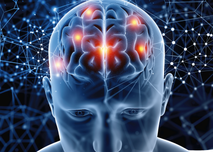 KLEIST (1912) Y POSTERIORMENTE POPPELREUTER (1917).